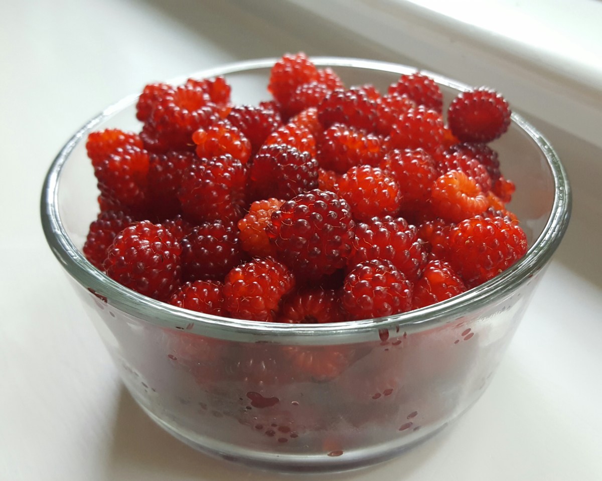Wine Raspberries, Rubus phoenicolasius