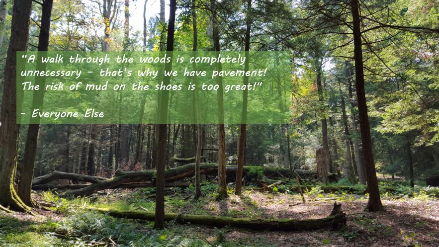 “A walk through the woods is completely unnecessary – that’s why we have pavement! The risk of mud on the shoes is too great!"