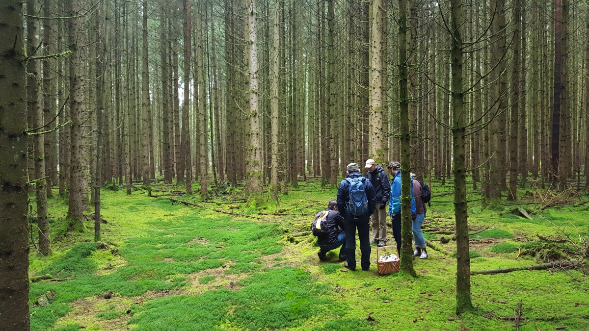 Verein für Pilzkunde München e.V.