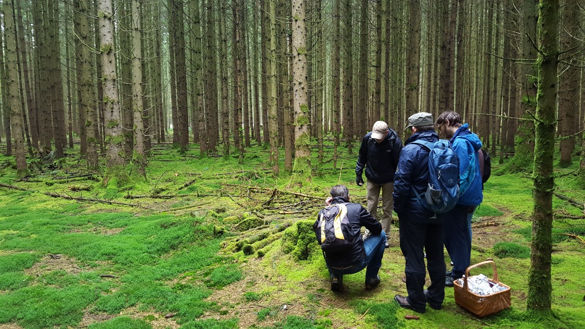 Verein für Pilzkunde München e.V.