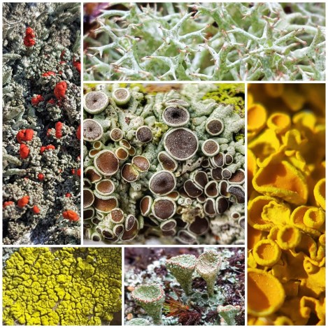 Collage 2018-04-07 06_32_11.jpg